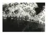 1982-09-09-instants-de-silence
